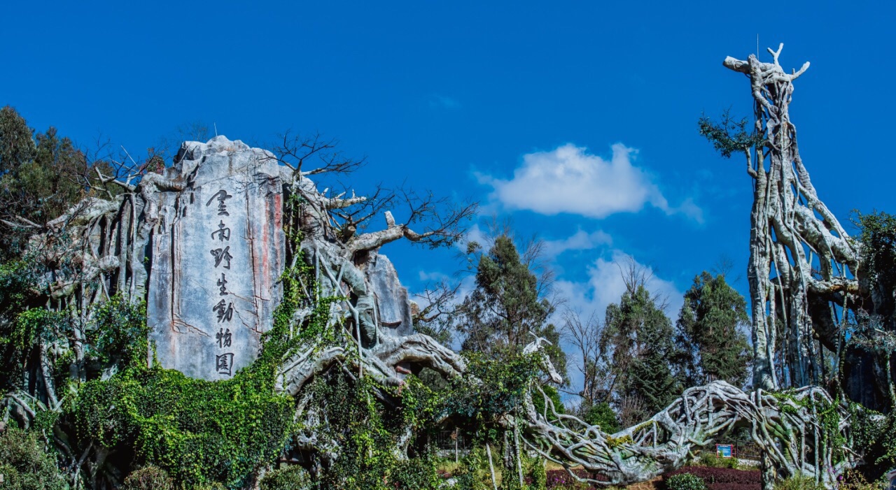 雲南野生動物園