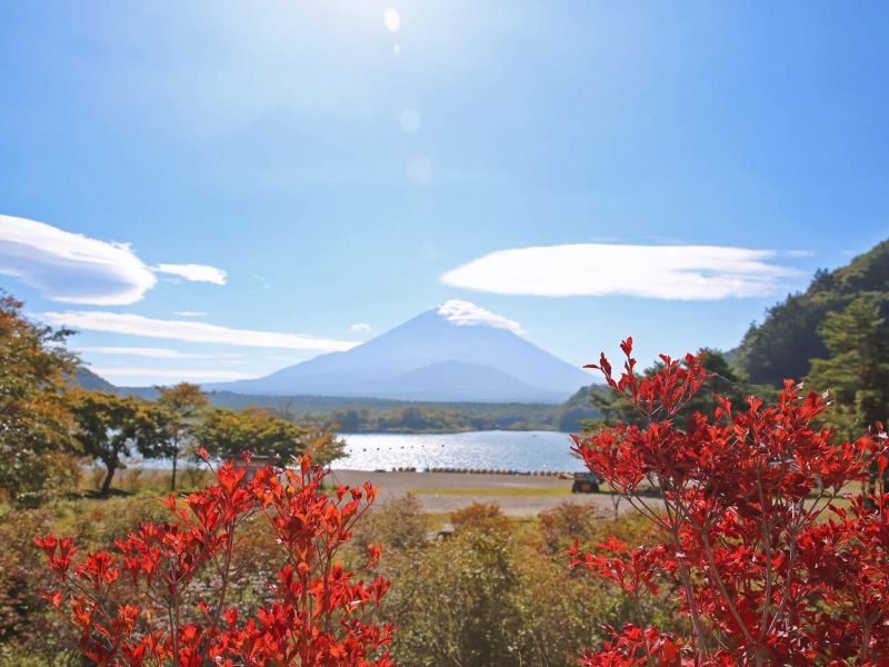 富士山精进湖游玩攻略-精进湖门票多少钱/价格表-团购票价预定优惠