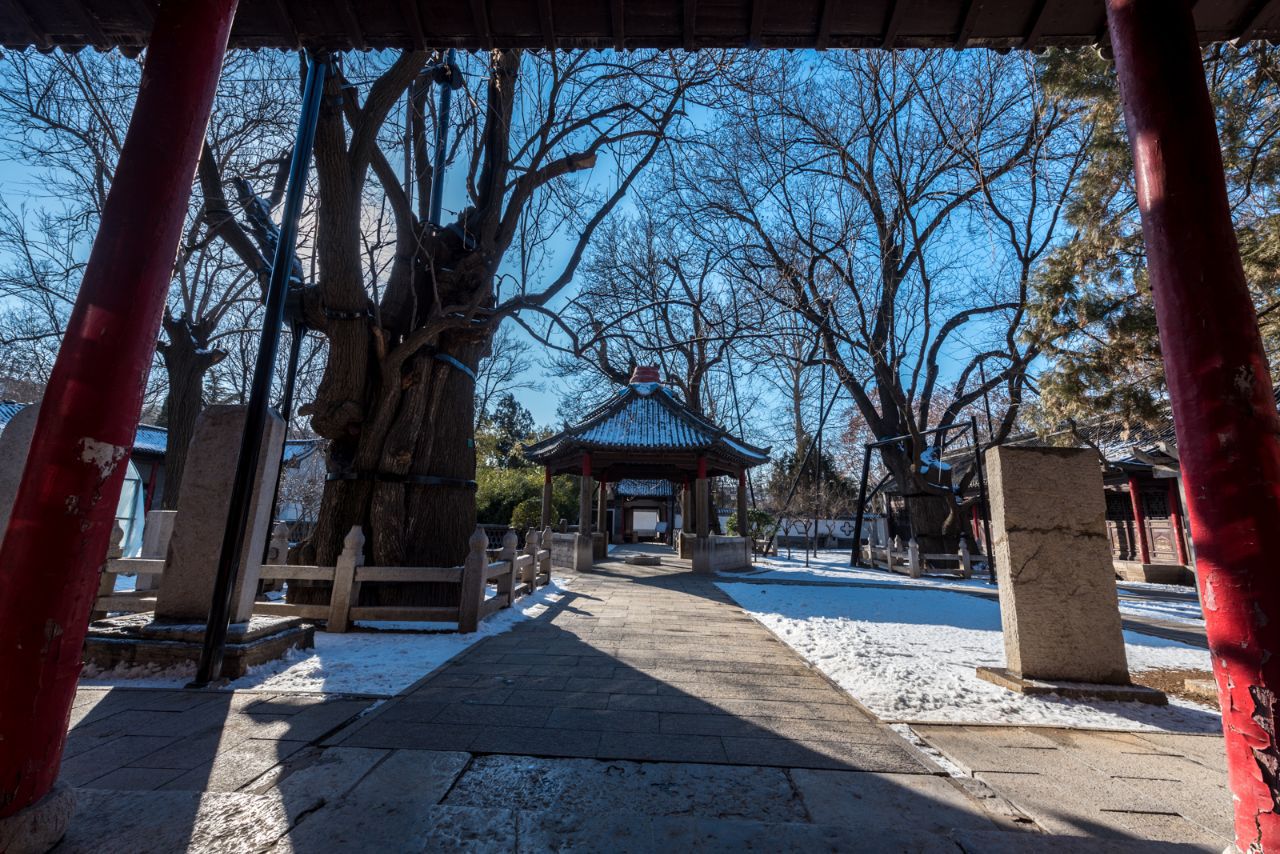 青州範公亭公園好玩嗎,青州範公亭公園景點怎麼樣_點評_評價【攜程