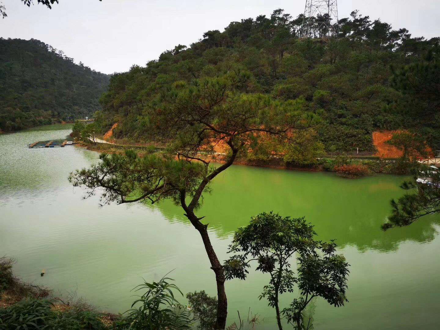 泰康山生态旅游区