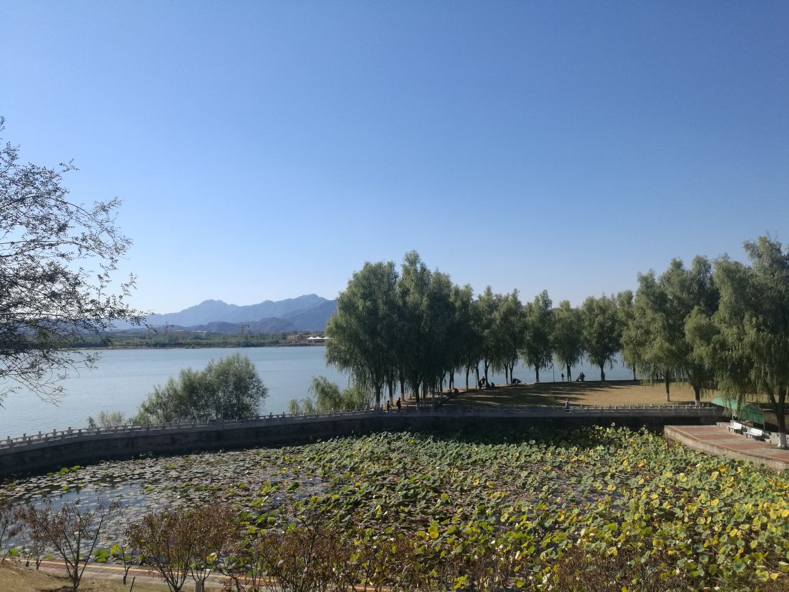 2019青龙湖公园_旅游攻略_门票_地址_游记点评,北京旅游景点推荐 去