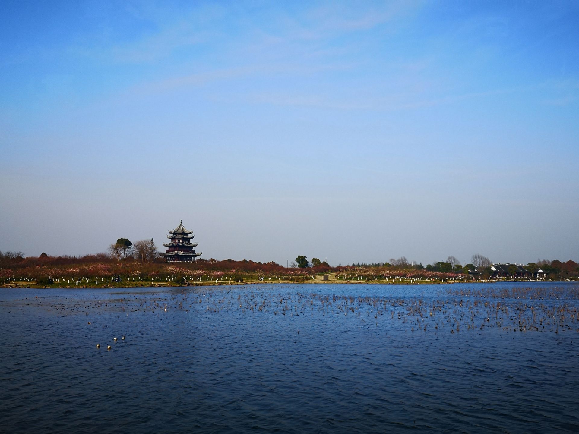 上海海湾国家森林公园旅游景点攻略图