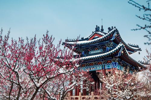 南京阅江楼攻略,阅江楼门票/游玩攻略/地址/图片/门票价格【携程攻略