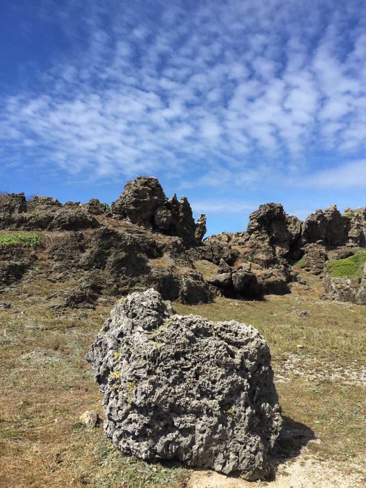 2019龙坑生态保护区游玩攻略,垦丁的龙坑生态保护区是我那.