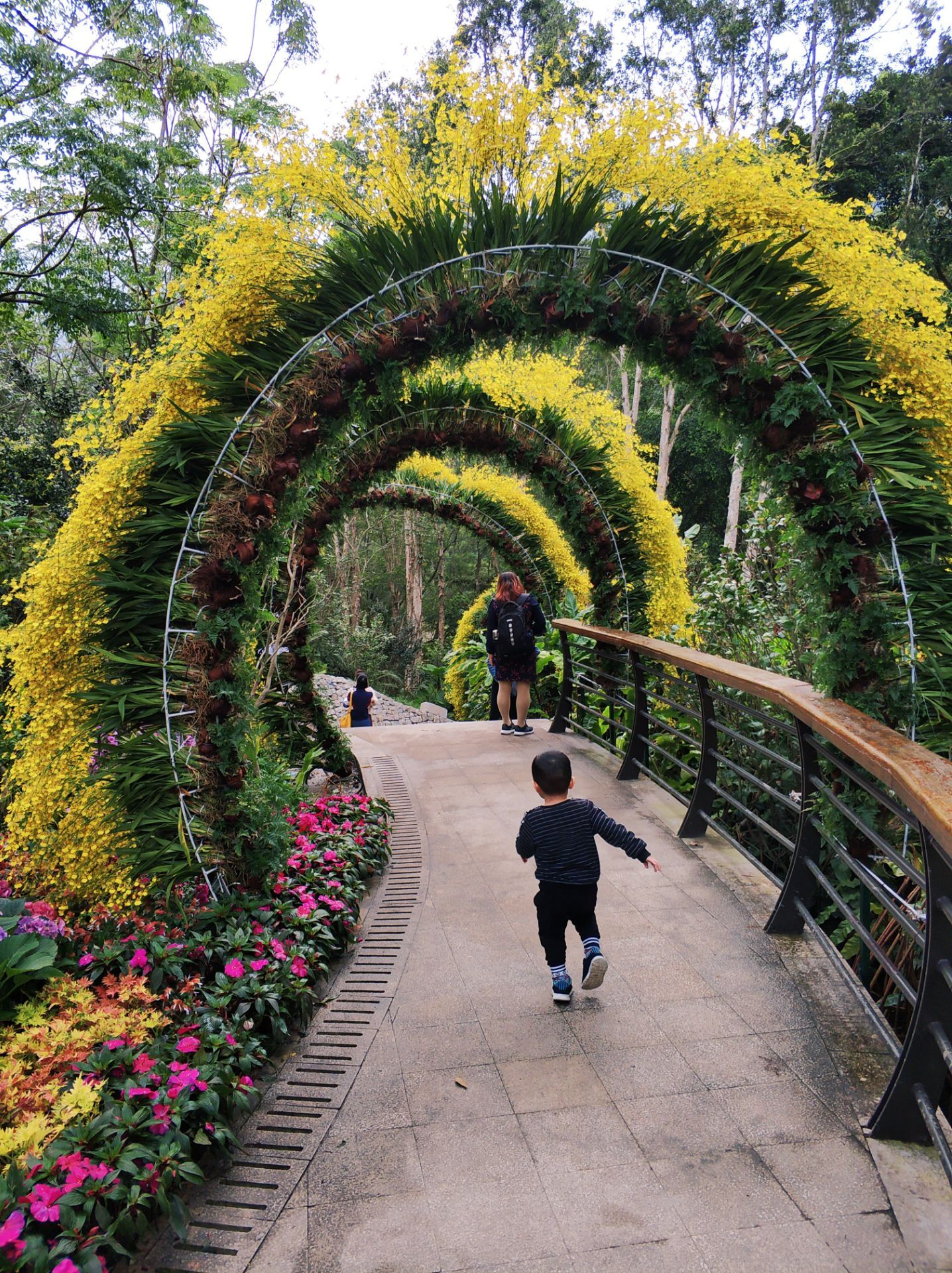 深圳仙湖植物园|摄影|风光摄影|Anciens - 原创作品 - 站酷 (ZCOOL)