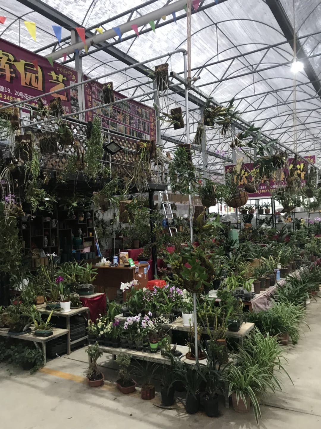 郑州市陈寨花卉市场里开了个农贸市场 - 知乎