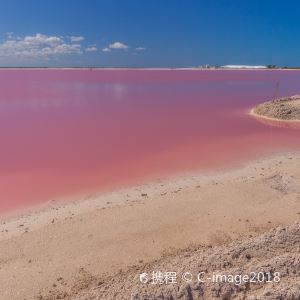 粉红湖旅游景点图片