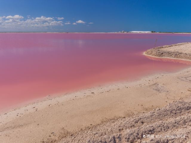 粉红湖