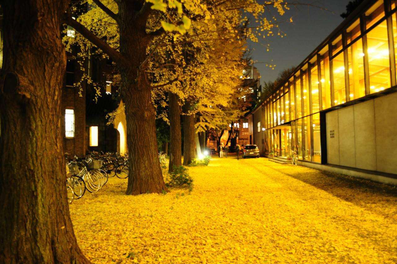 东京大学
