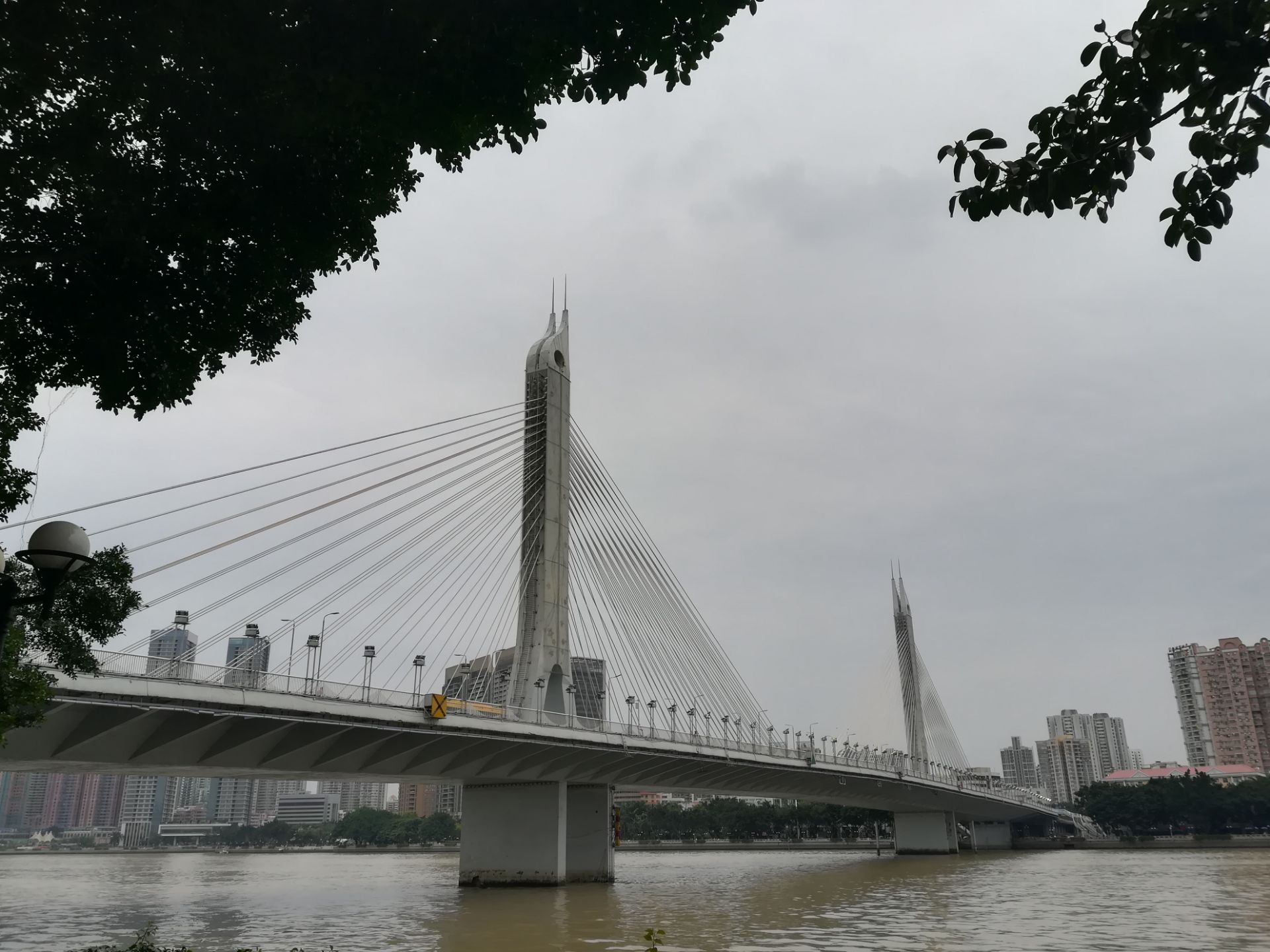 广州琶洲大桥傍晚城市建筑桥上拍摄摄影图配图高清摄影大图-千库网