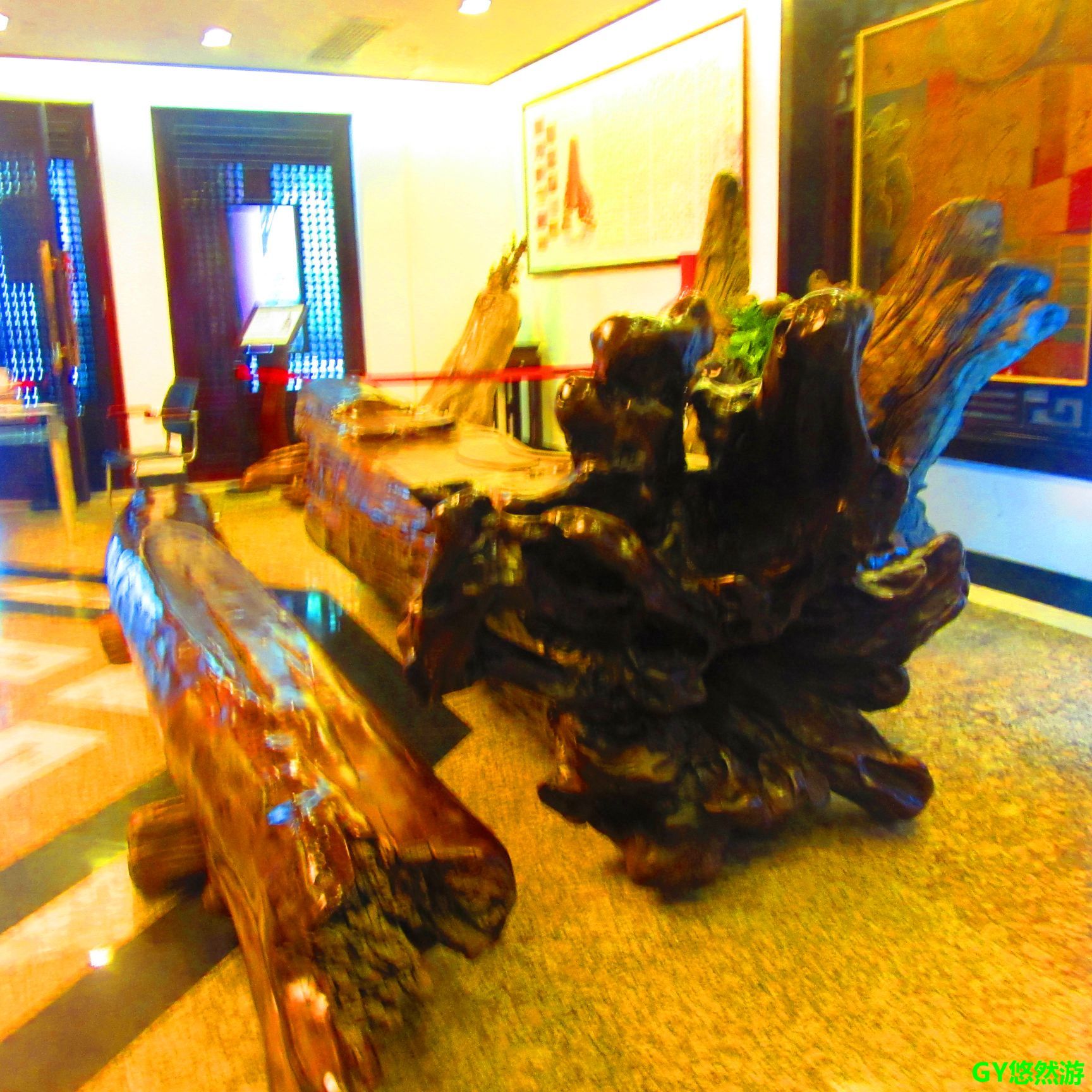 缘结乌木之初一一木质的形成_馆内动态_成都乌木艺术博物馆