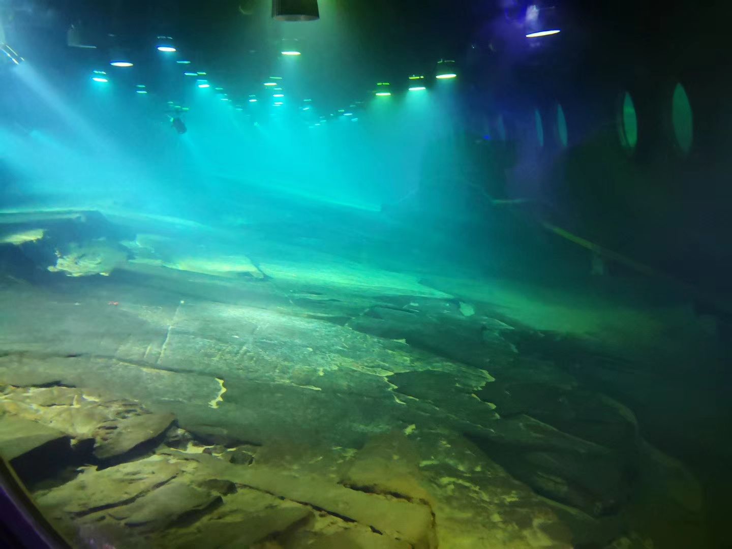 了解海底世界的窗口：国家海洋博物馆