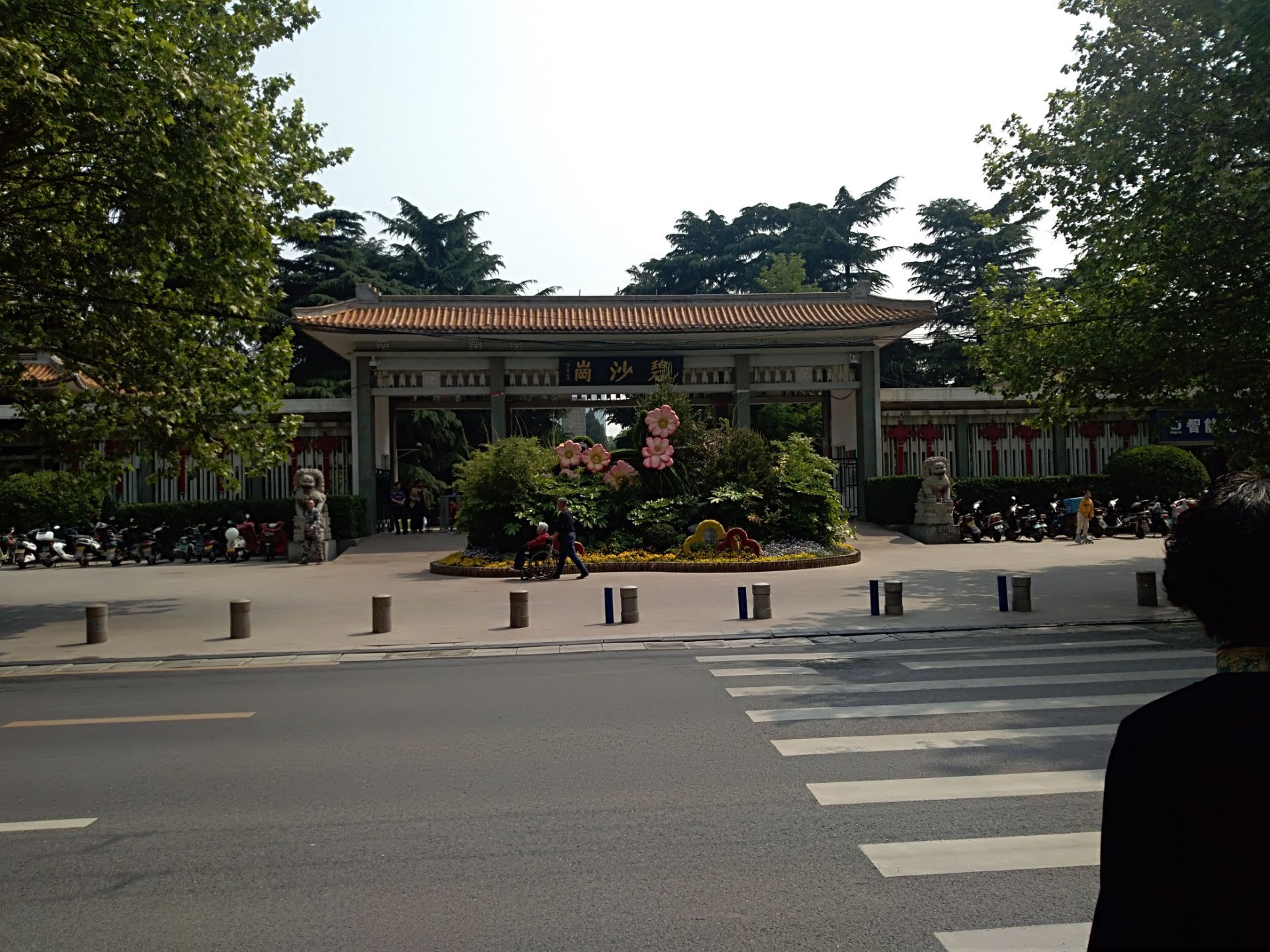郑州市碧沙岗公园设计“喜迎二十大”主题景点-大河新闻