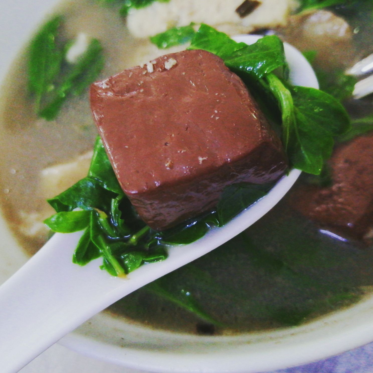 潮汕人的早晨，从一碗猪血汤开始，而它所用的配菜却是一味中药！