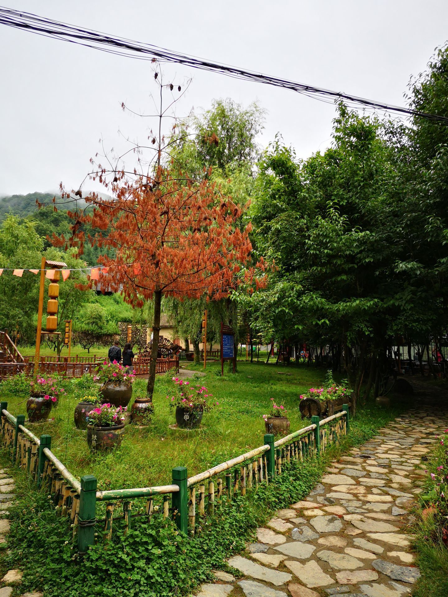 2023秋菊山庄风景区-旅游攻略-门票-地址-问答-游记点评,陇县旅游旅游