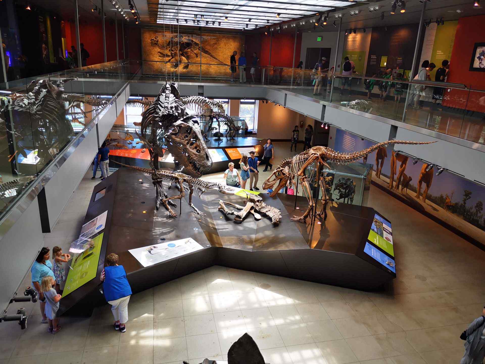 洛杉矶自然历史博物馆