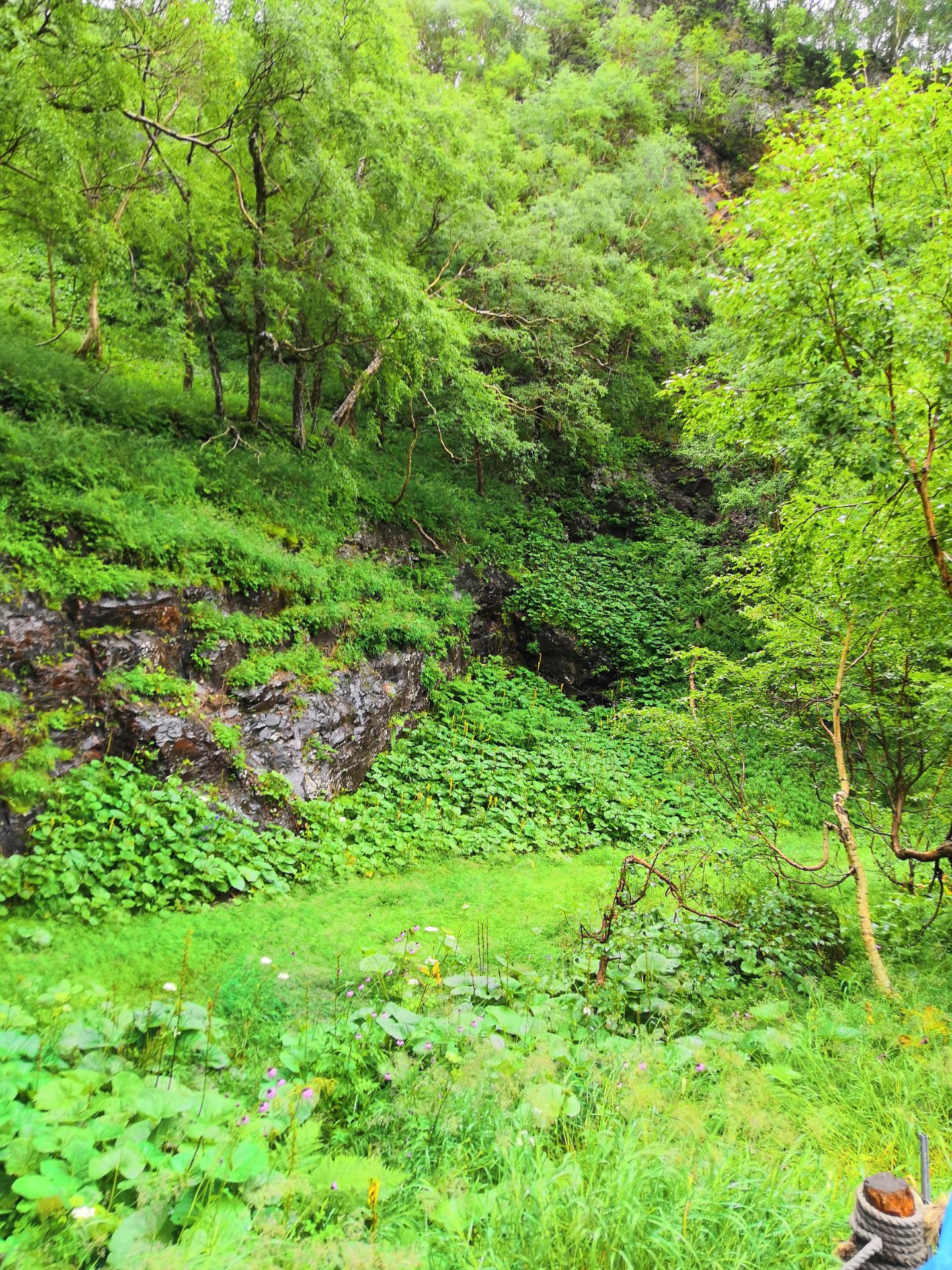 满洲里西山植物园好玩吗,满洲里西山植物园景点怎么样_点评_评价