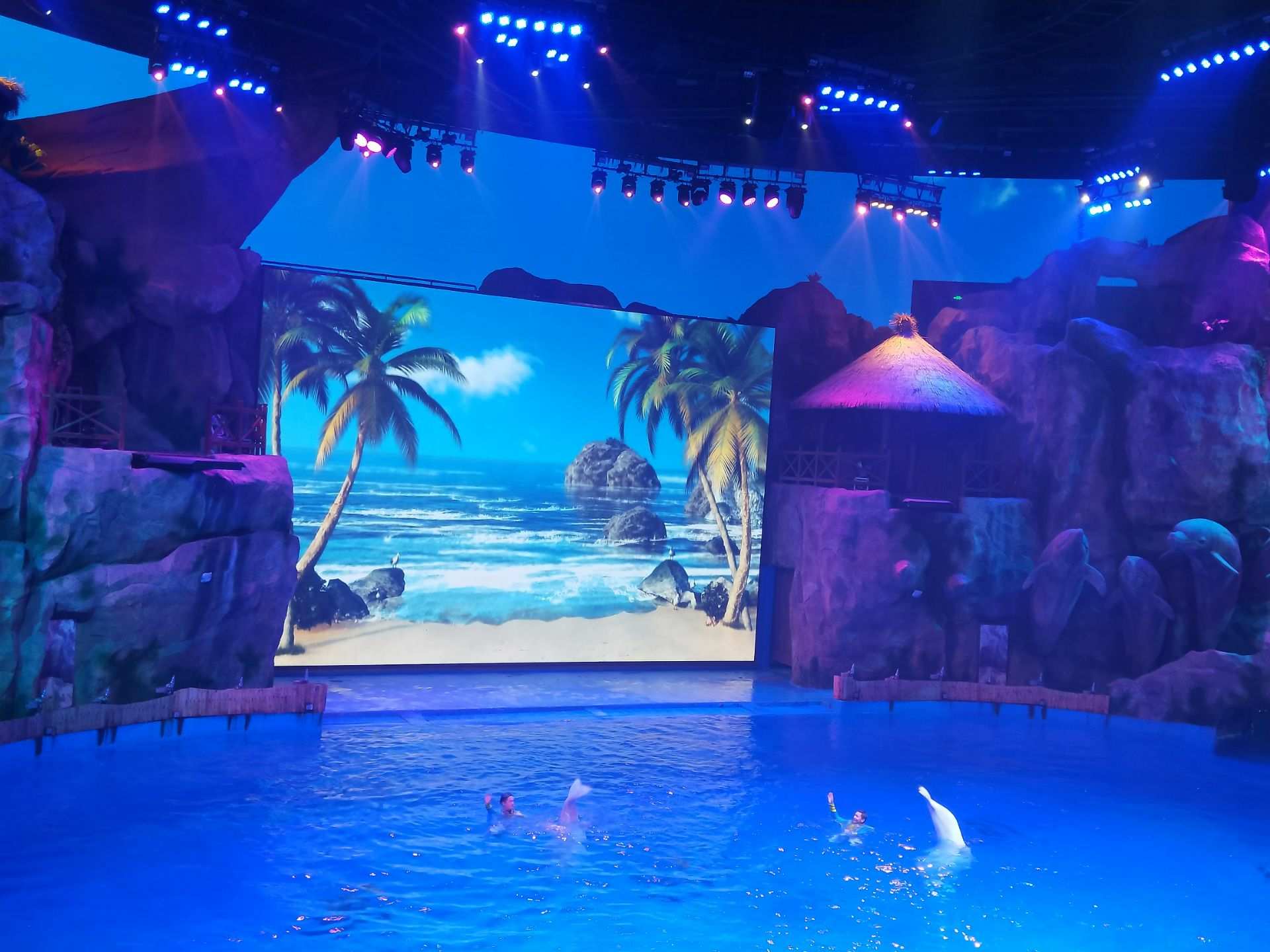 芜湖新华联大白鲸海洋公园