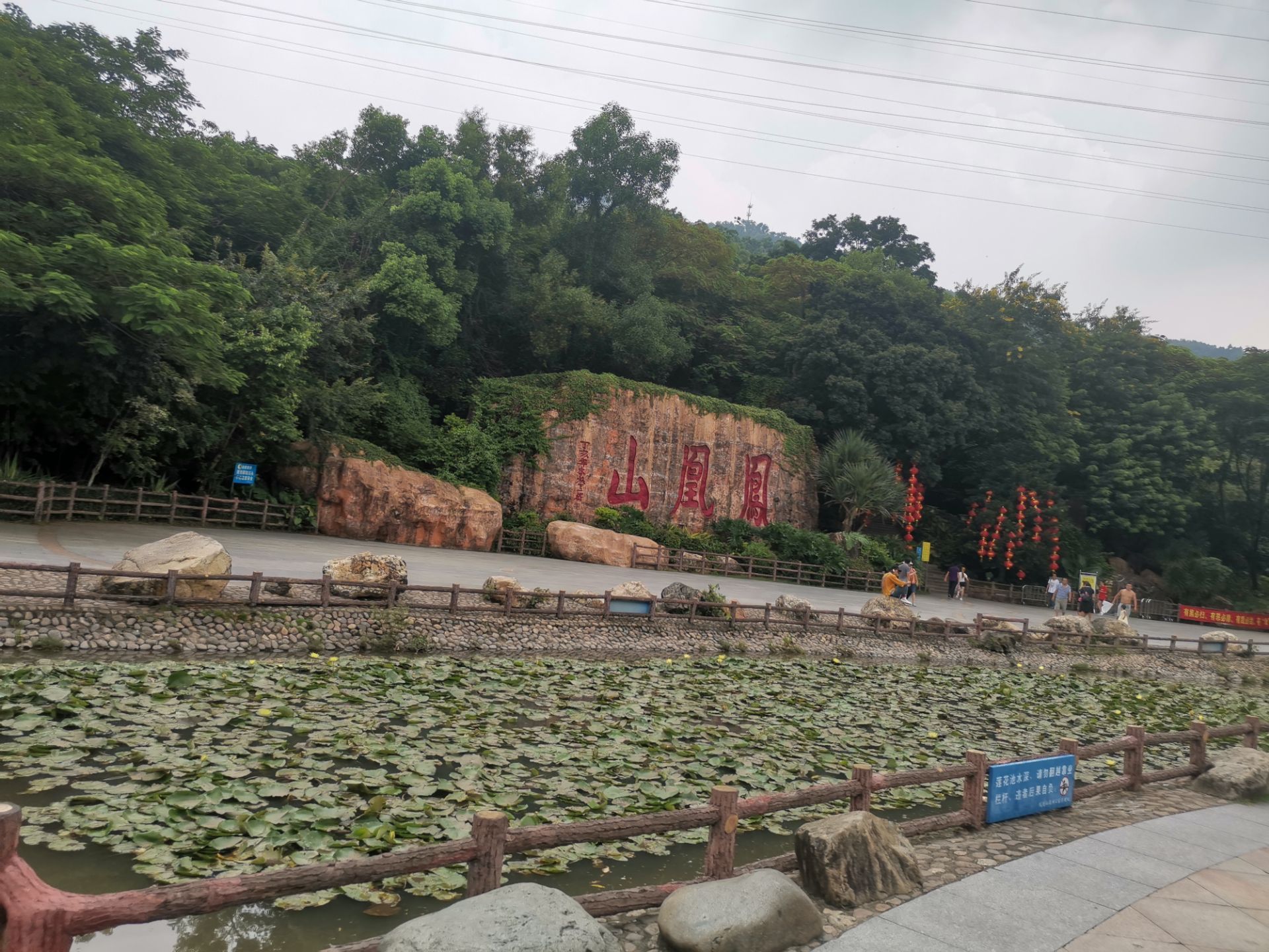 【攜程攻略】深圳鳳凰山景點,廣東省深圳市寶安區鳳凰山,週末最多人的