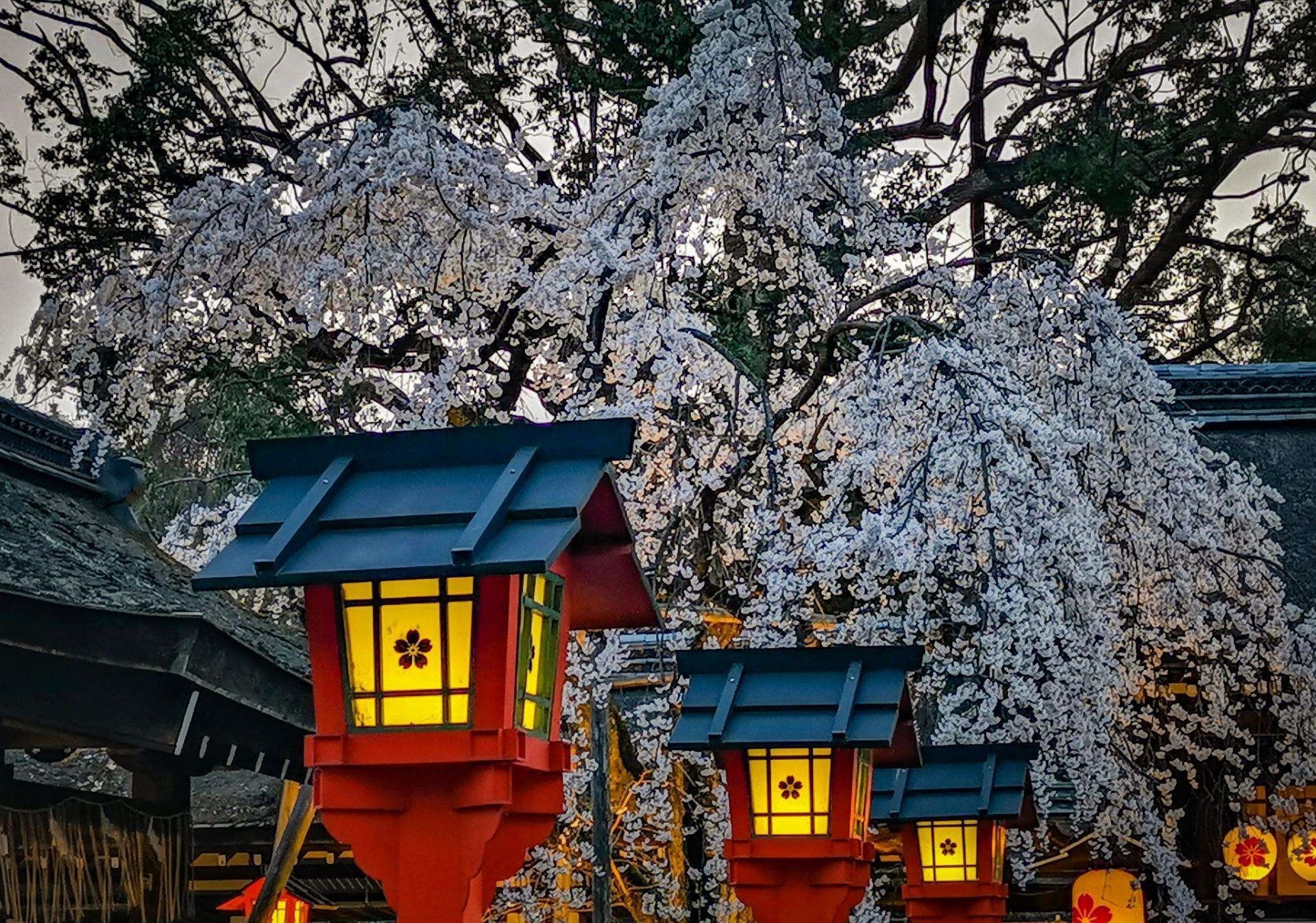 平野神社