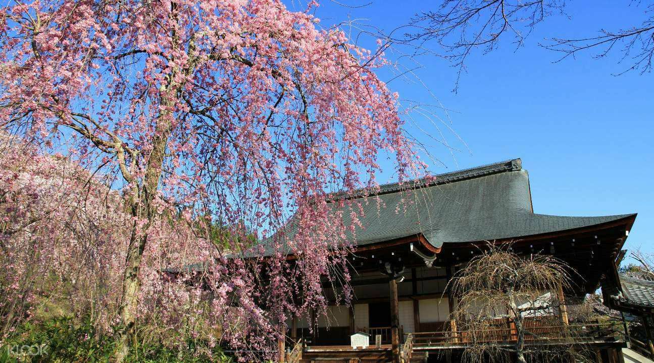 平野神社