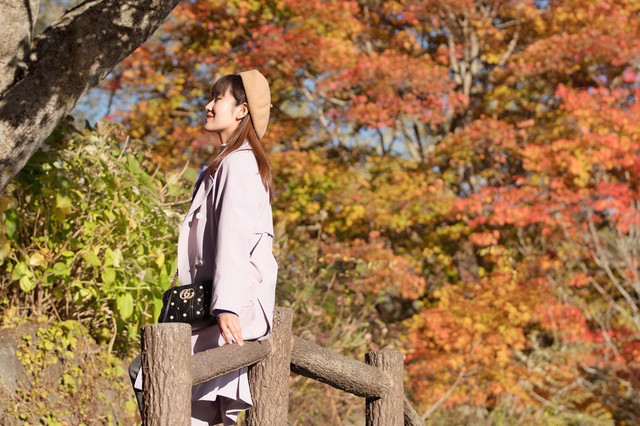 日本旅行 一期一会红叶狩 磐梯山最美五色沼 携程氢气球