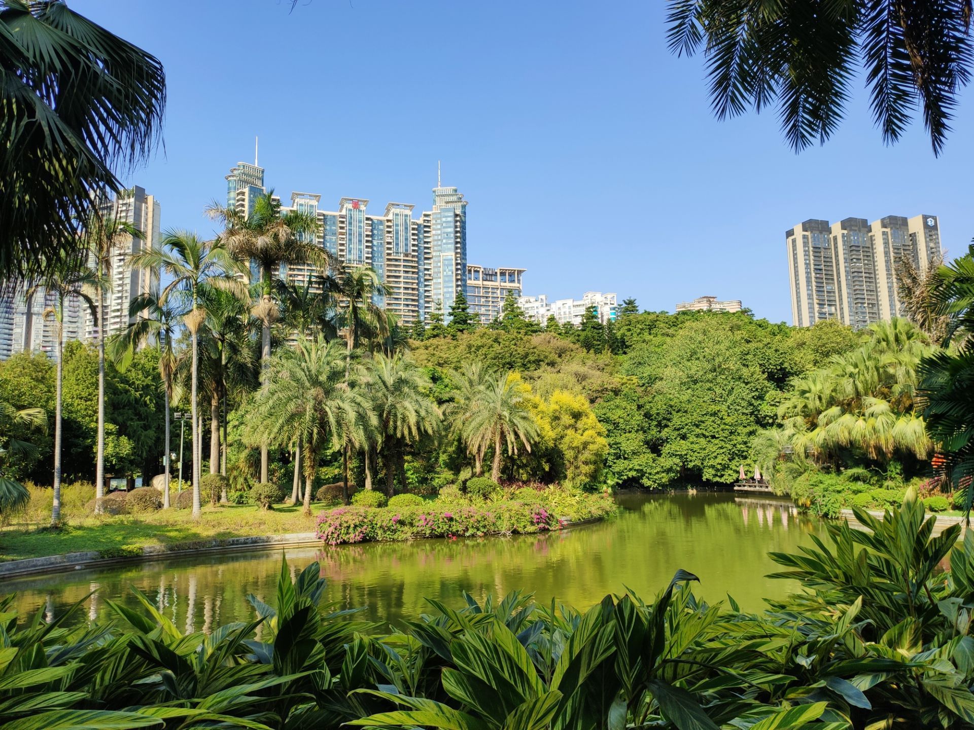 2015珠江公园_旅游攻略_门票_地址_游记点评,广州旅游景点推荐 - 去