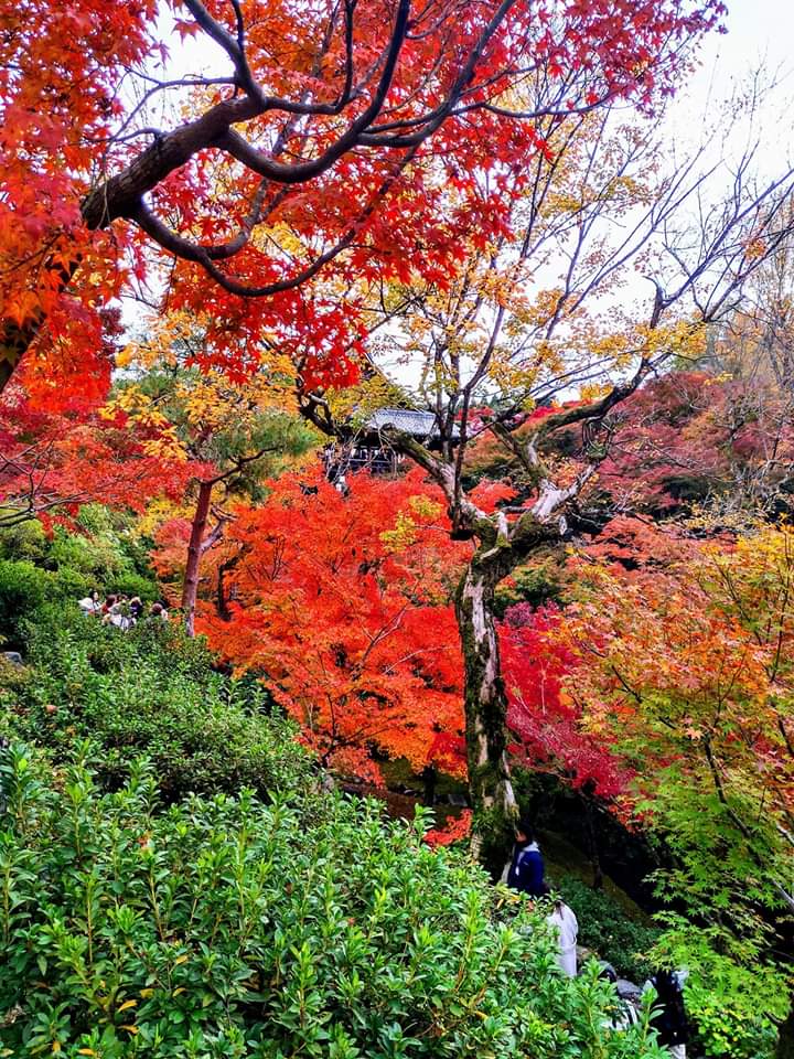 今熊野观音寺