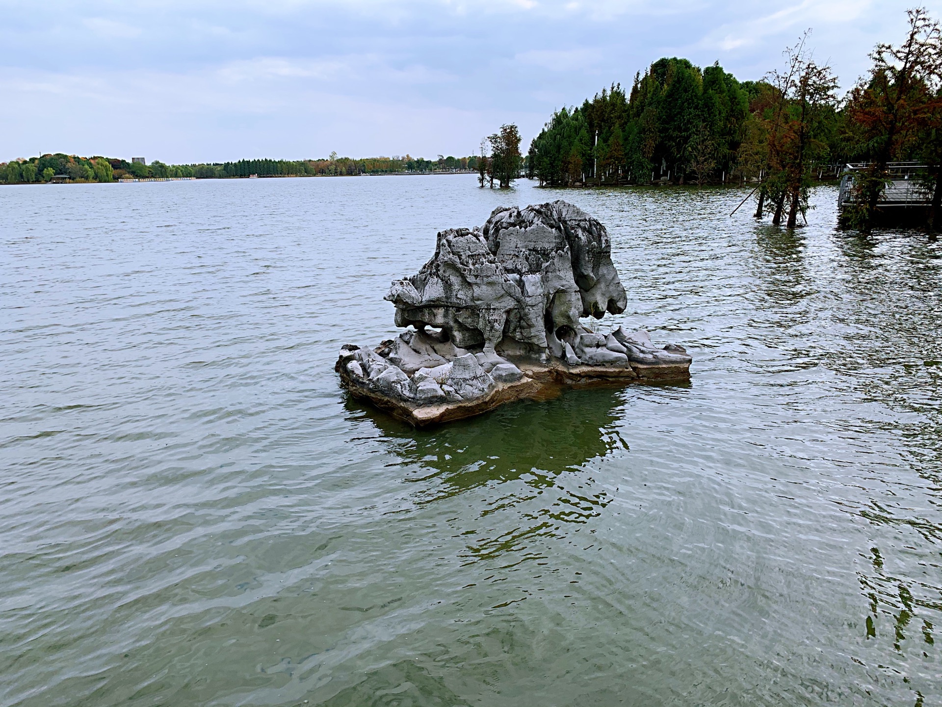 【攜程攻略】靖江牧城公園景點,初冬的靖江天藍雲白,彩葉點綴.