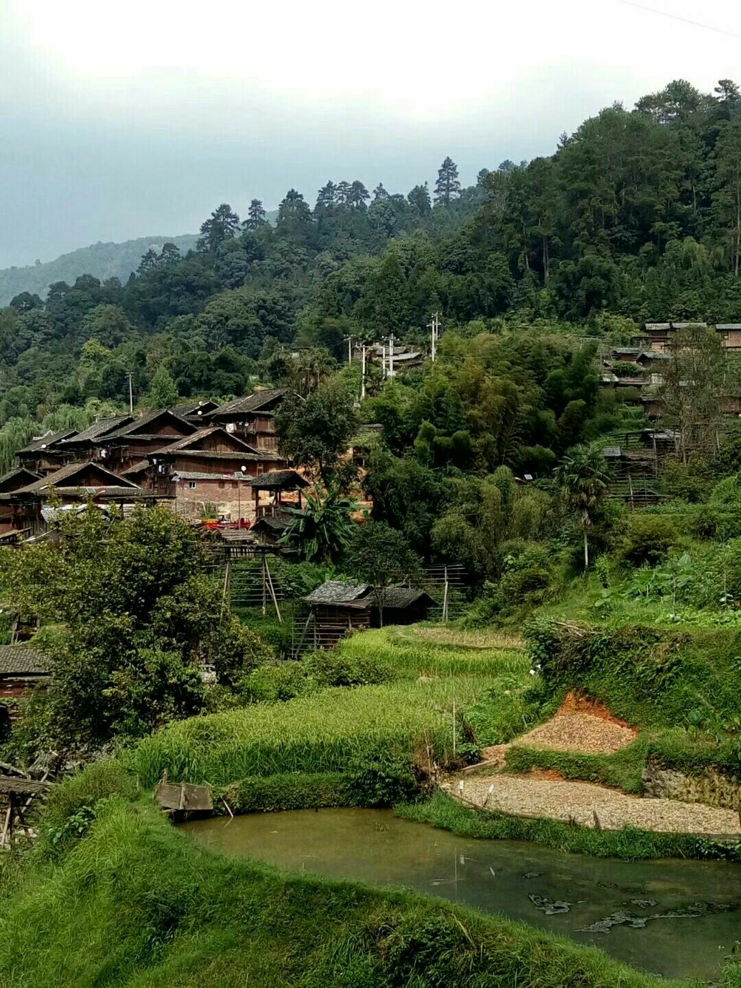 林中,是一个植被良好,民族风情浓郁的美丽侗寨,村外苍山叠翠,门前流水