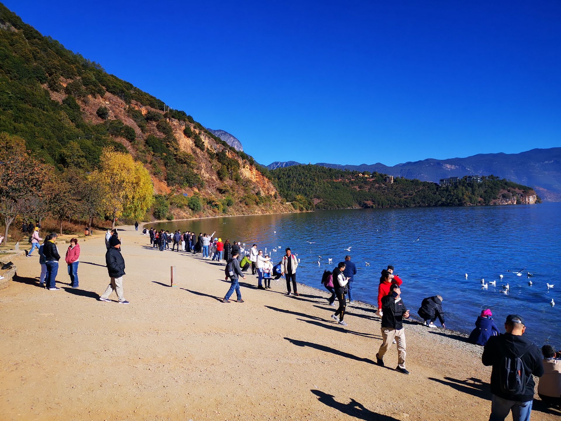 2020情人滩-旅游攻略-门票-地址-问答-游记点评,泸沽