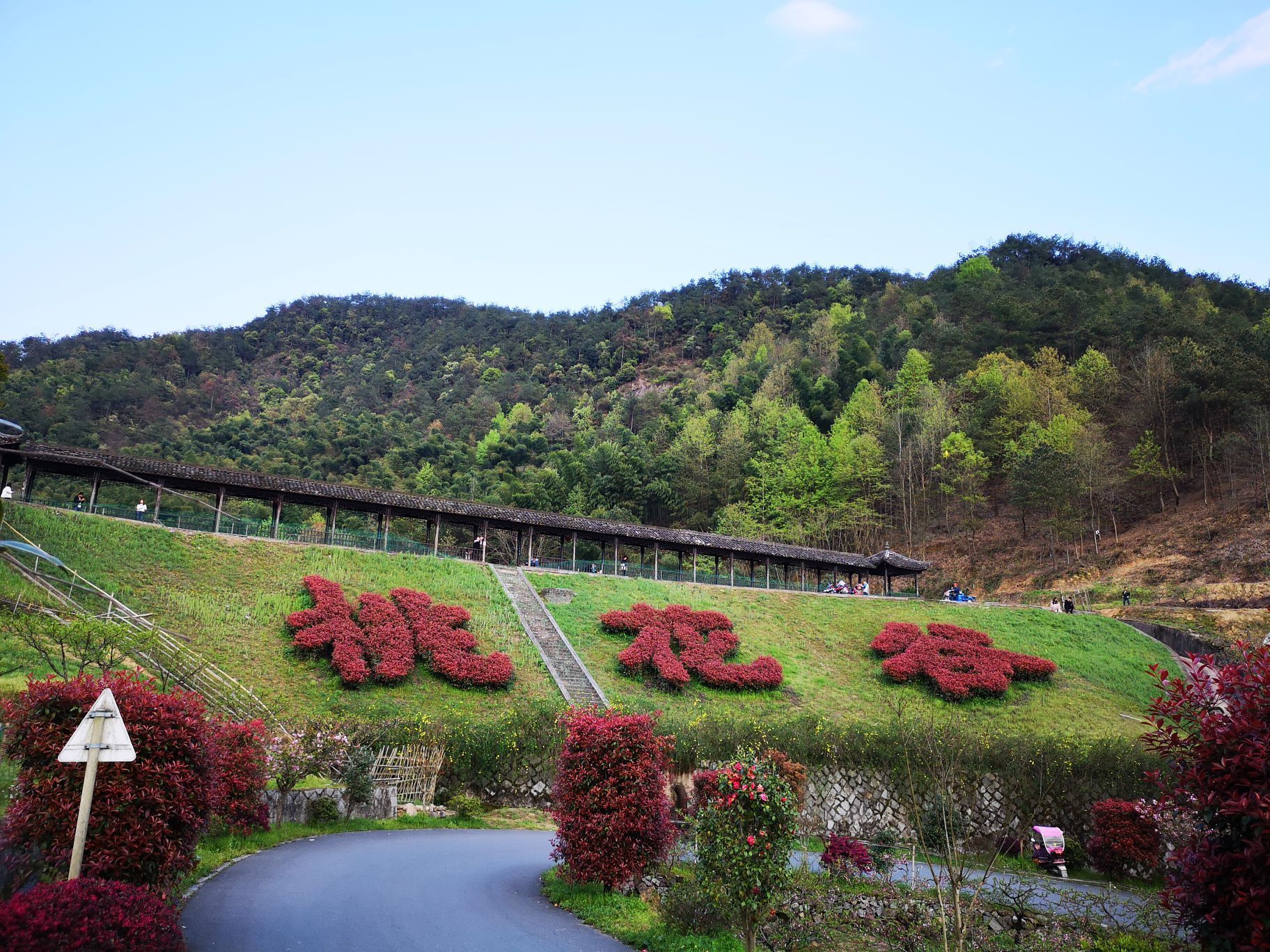 阳山畈村