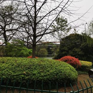 杭州凯旋公园攻略-凯旋公园门票价格多少钱-团购票价预定优惠-景点