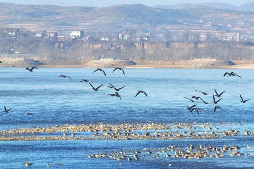 孟津孟津县南岭公园攻略-孟津县南岭公园门票价格多少钱-团购票价预定