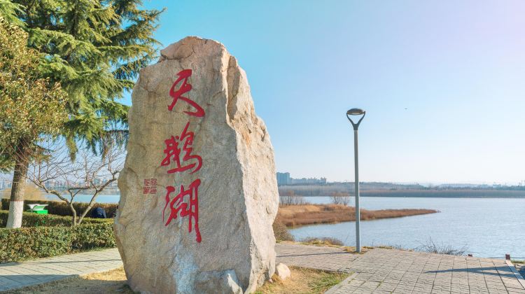 天鹅湖国家城市湿地公园