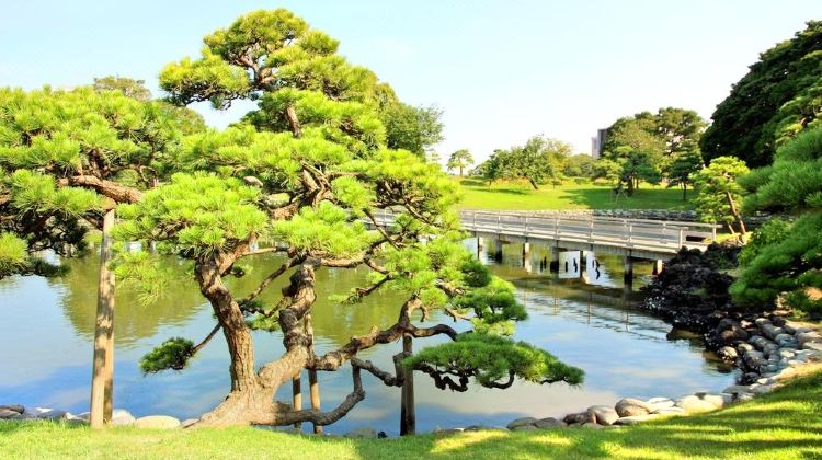 东京隅田公园攻略 隅田公园门票价格多少钱 团购票价预定优惠 景点地址图片 携程攻略