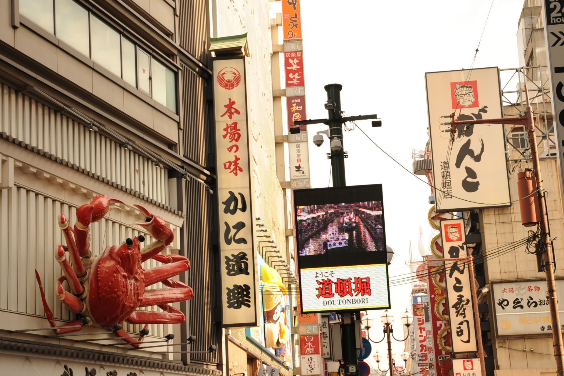 2023道顿堀美食街美食餐厅,心斋桥 道顿崛是 大阪 最繁华...【去哪儿攻略】