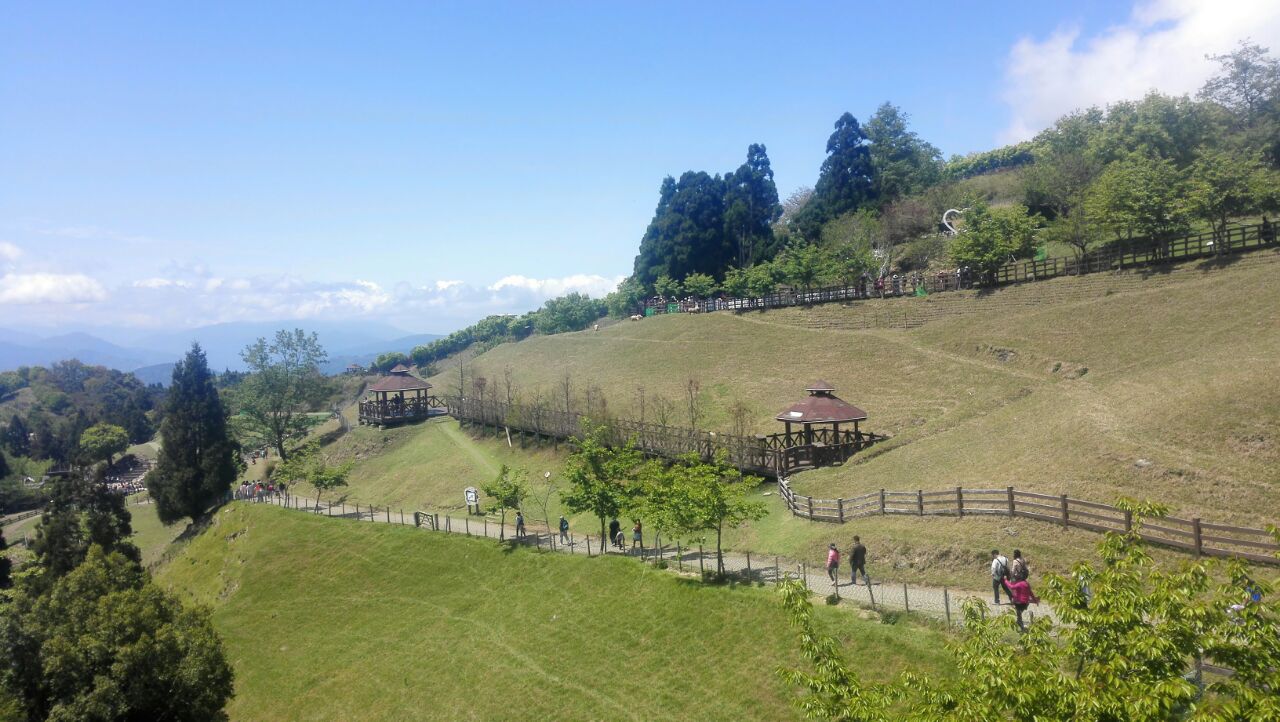 青青草原