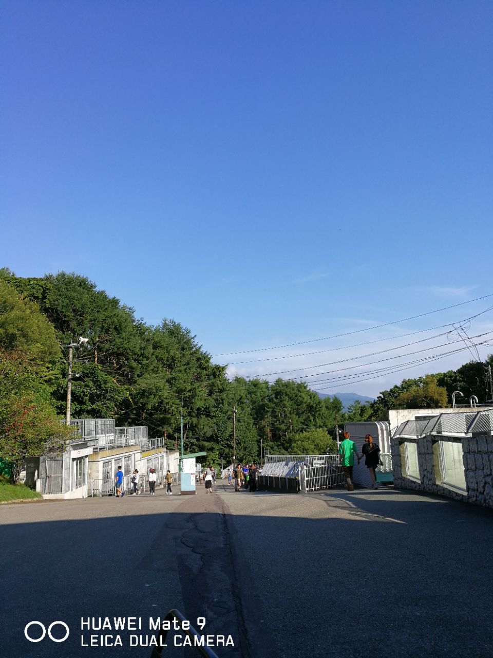 昭和新山熊牧場