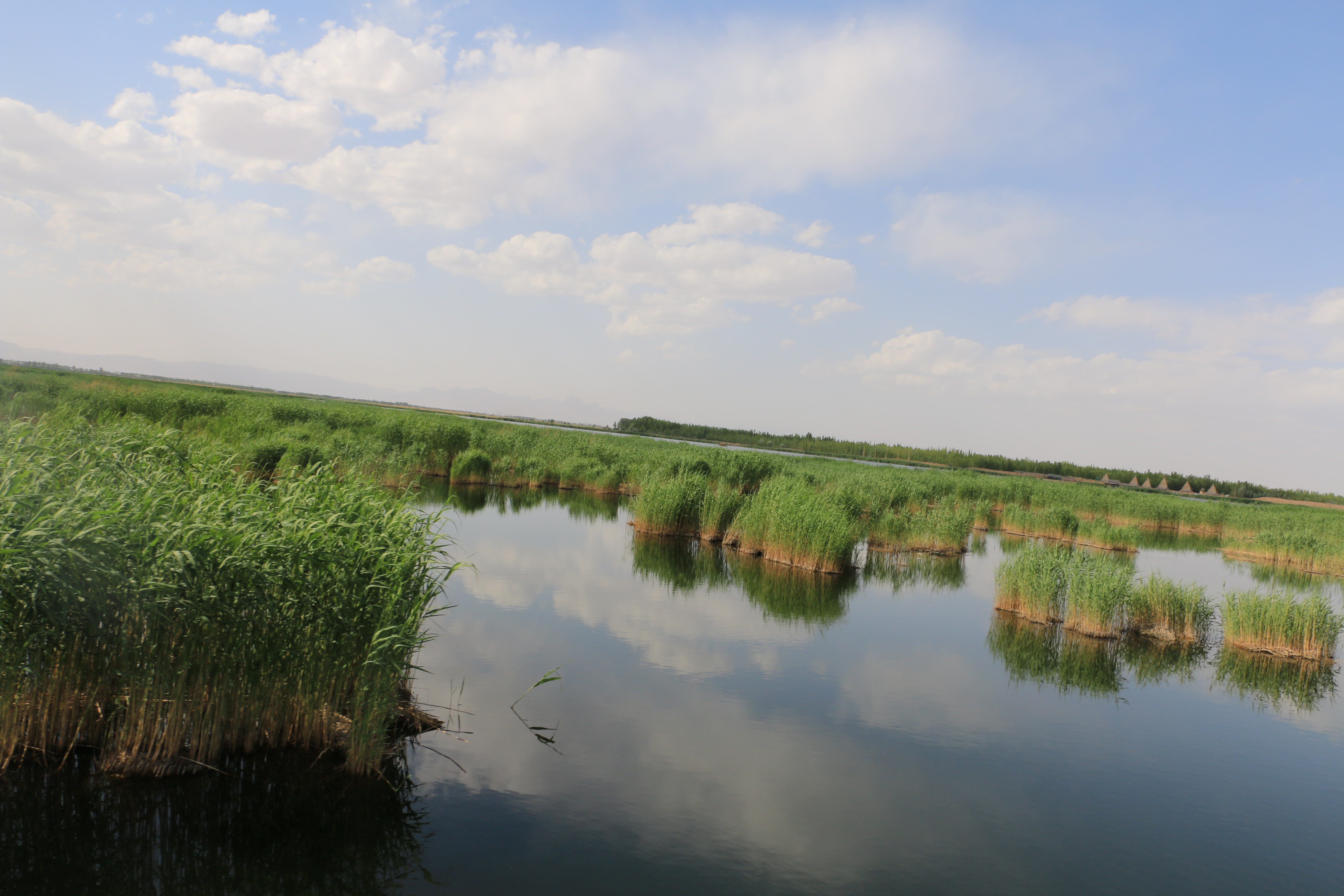 纳林湖风景图片图片