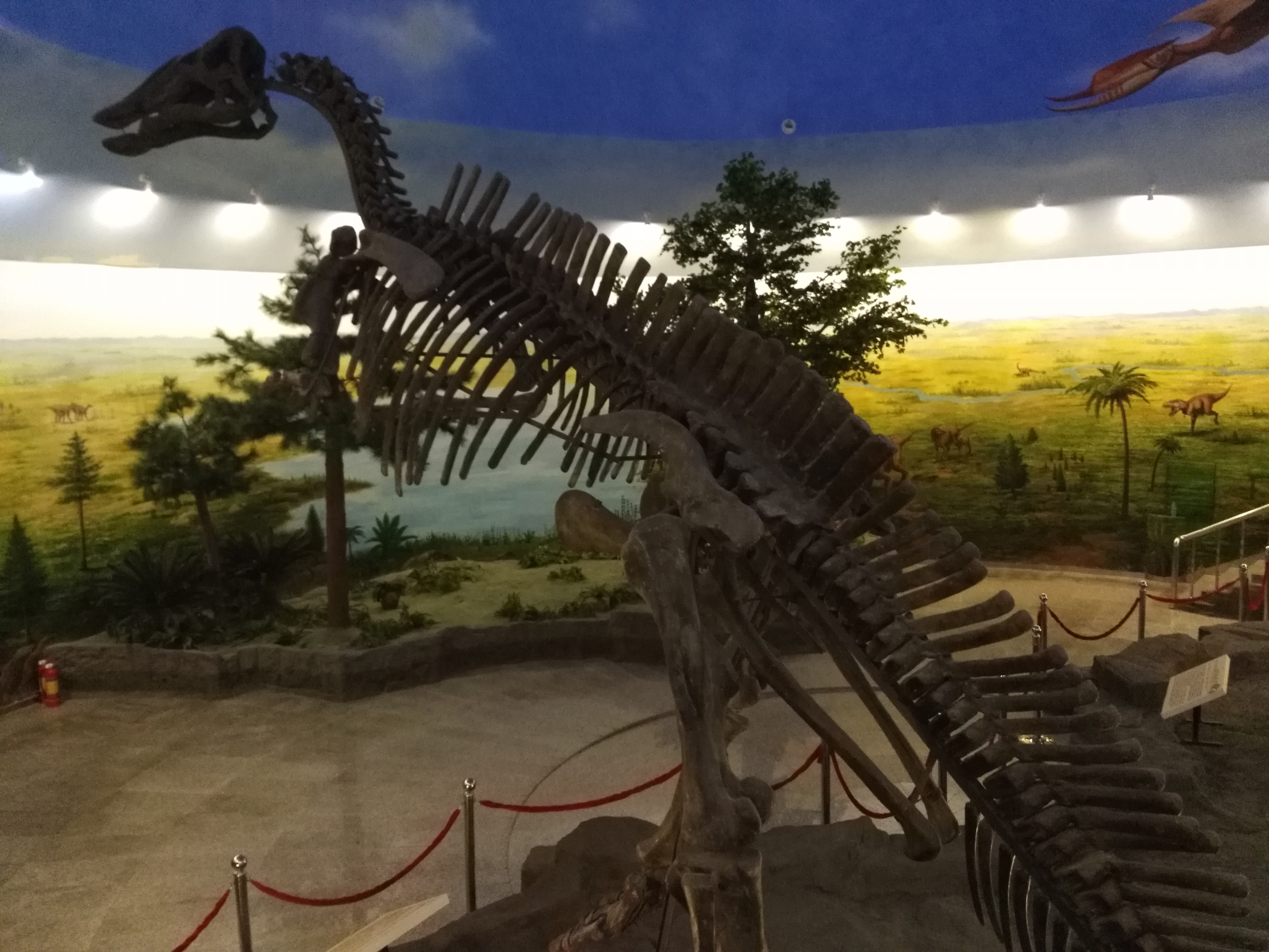 伊春恐龙博物馆图片