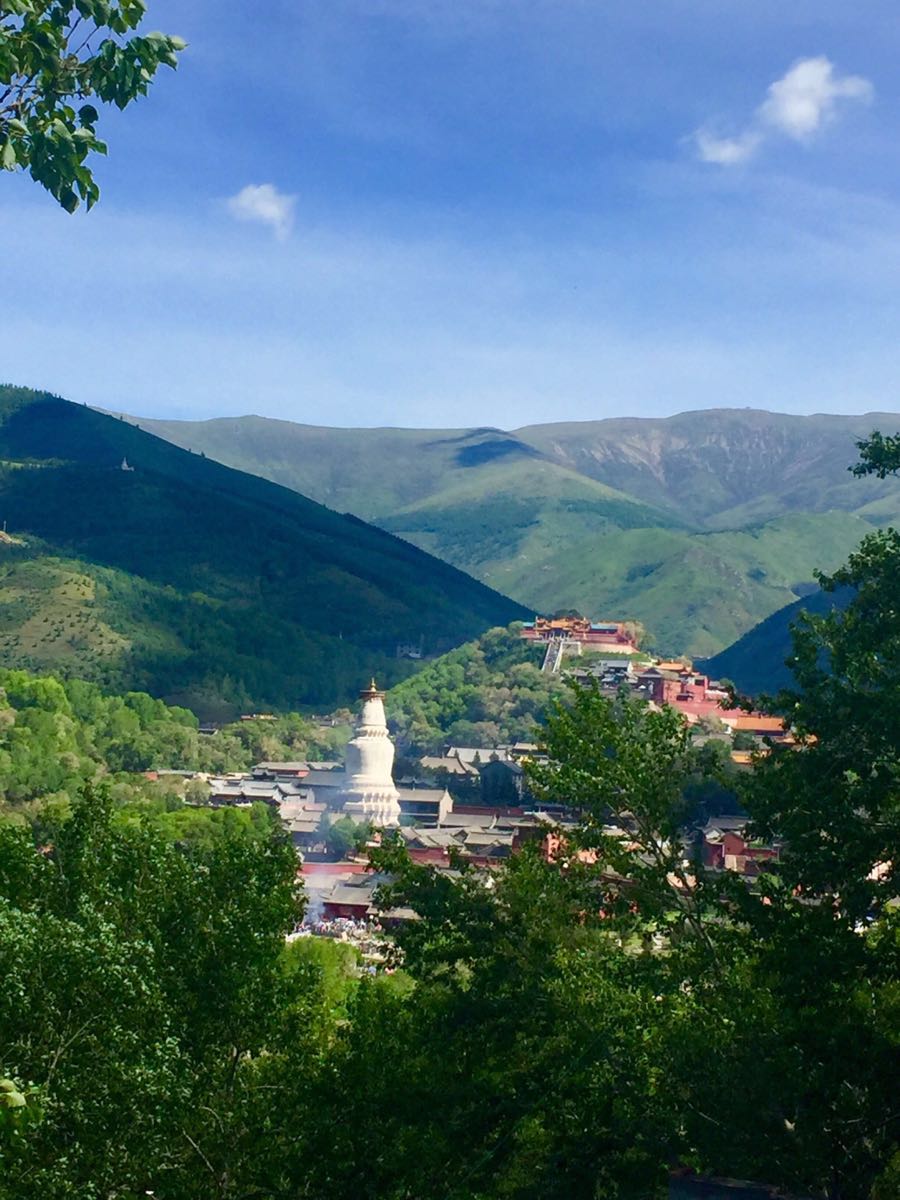 2019菩萨顶_旅游攻略_门票_地址_游记点评,五台山旅游景点推荐 去