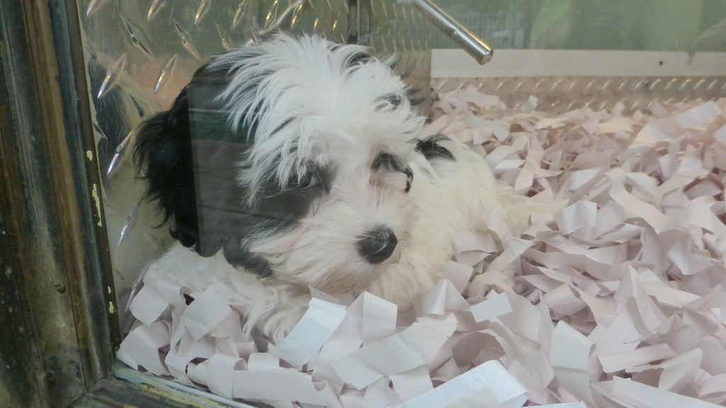 美国纽约格林威治村 纽约游记攻略 携程攻略