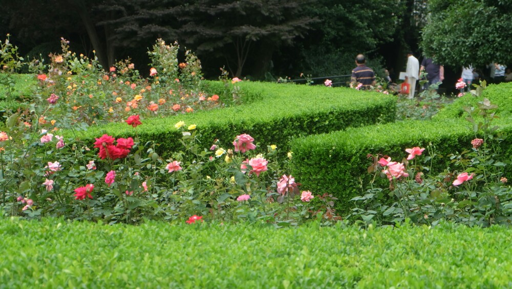 上海復興公園好玩嗎,上海復興公園景點怎麼樣_點評_評價【攜程攻略】