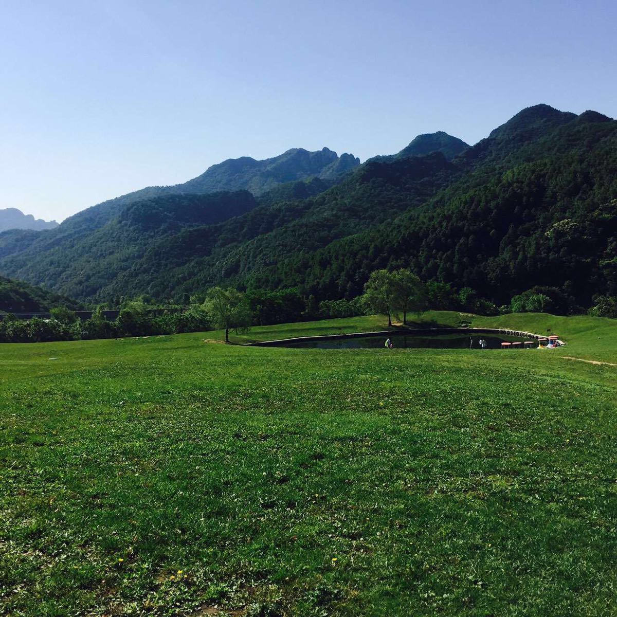 这里是清迈最高的山峰 海拔在2585公尺 主要出产茶叶 附近有因他暖山