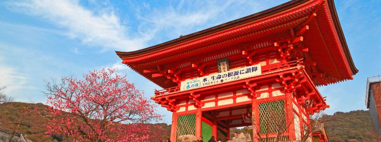 京都三日游攻略 京都三日游最佳路线推荐 京都三日游必去景点 携程攻略