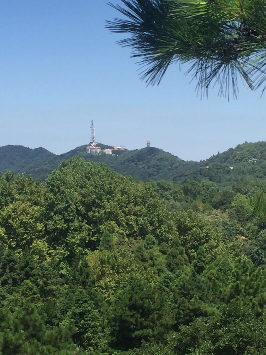 鸡公山风景区