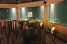 晚上，终于迎来了马尔代夫的三大水下餐厅之一：M6m水下餐厅。