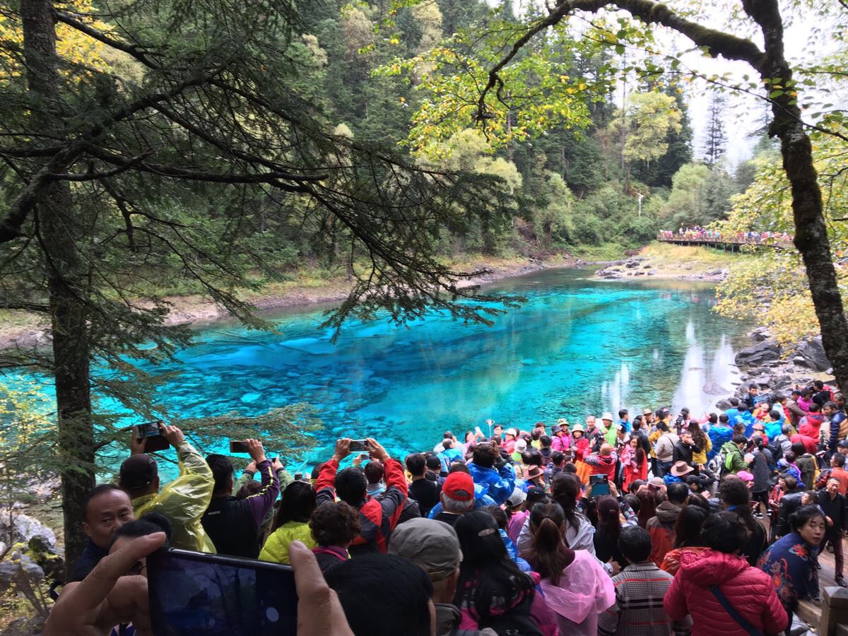 2019五彩池_旅遊攻略_門票_地址_遊記點評,九寨溝旅遊景點推薦 - 去