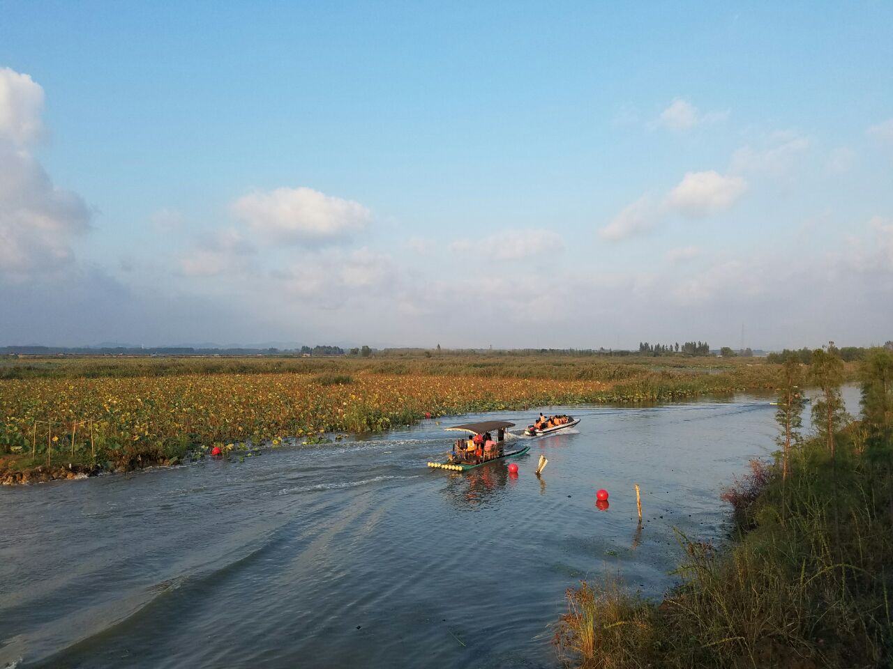 微山湖溼地紅荷風景區旅遊景點攻略圖